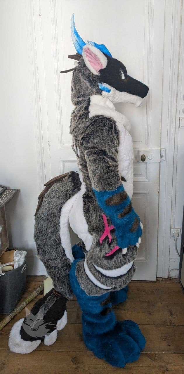 Full suit Dragon / sergal – Image 4
