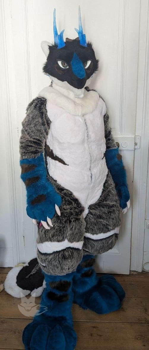 Full suit Dragon / sergal