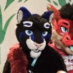 L'aiguille du chat EI