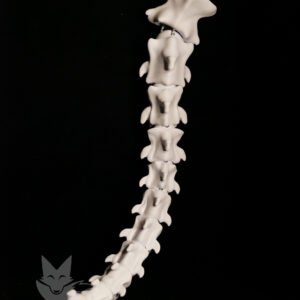 Queue Furry Cosplay - Skull V1 💀